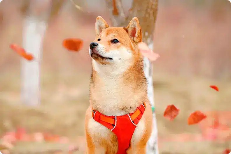 1/23/25 Hope You’re Having a Good Morning&nbsp;🌄