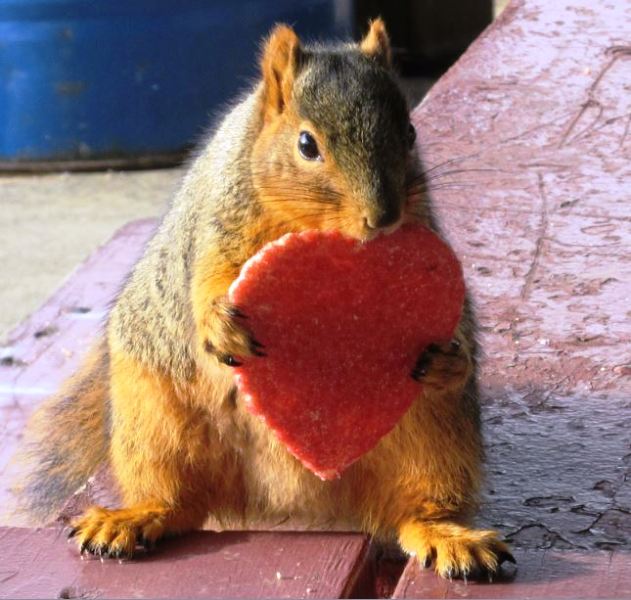 HAPPY VALENTINES DAY