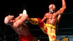 Hulkamania Wrestling Gym?