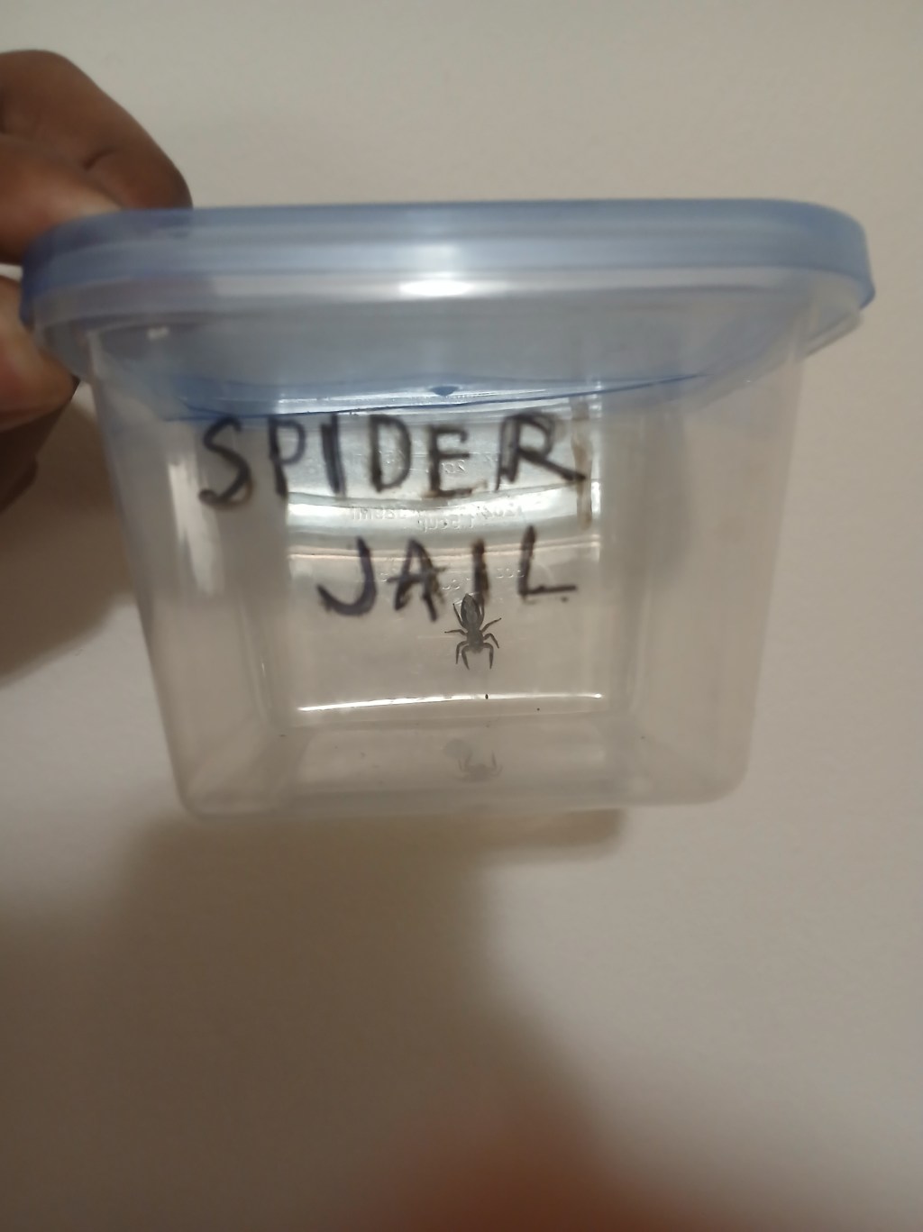 SPIDER-JAIL! SPIDER-JAIL! SPIDER-SPIDER&nbsp;SPIDER-JAIL!